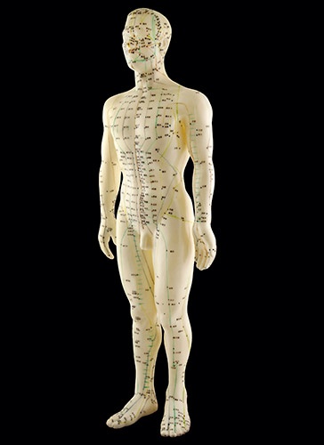 Modelo anatómico de la medicina tradicional china: los canales y puntos en que se aplican acupuntura y shiatsu. 