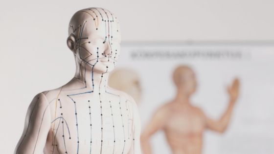 meridianos o canales energéticos de la medicina tradicional china